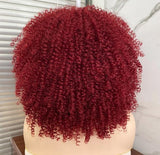 Short Hair Afro Kinky Curly Drag Queen Wig-Queenofdrag.com